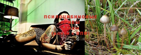 тгк Семилуки